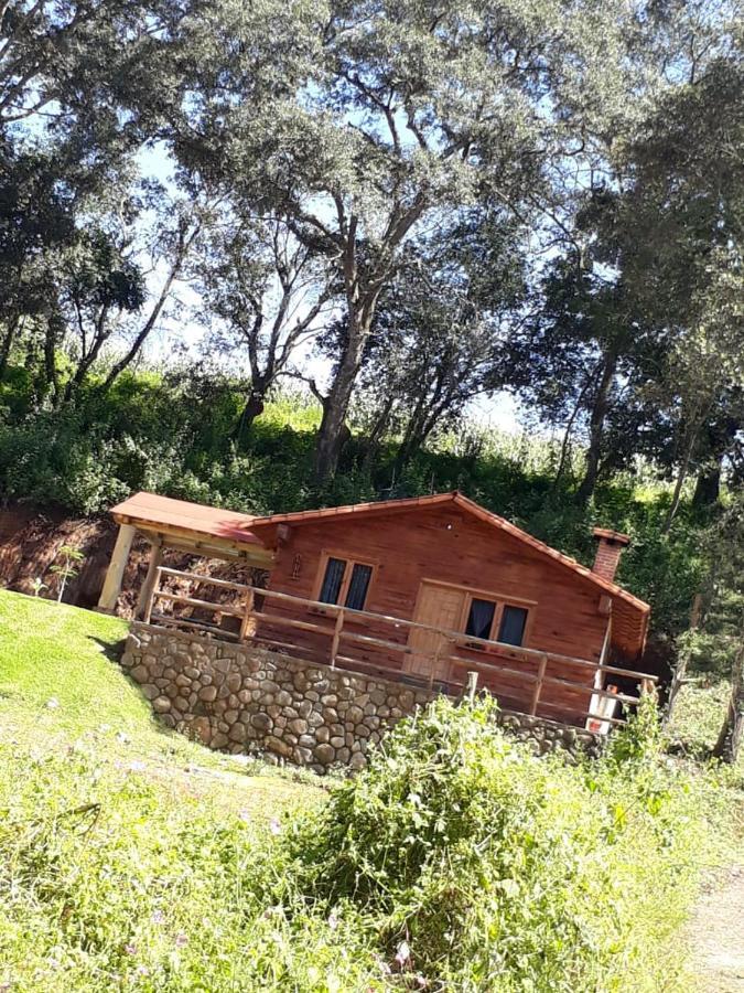 Cabanas Los Girasoles Мазамитла Экстерьер фото